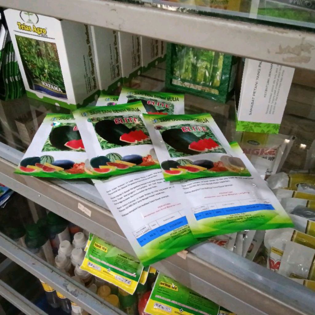 Benih Bibit Semangka Non biji Elite F1, Tipe jumbo (Perawatan Mudah) /Tahan Virus, tipe Lonjong, Ova