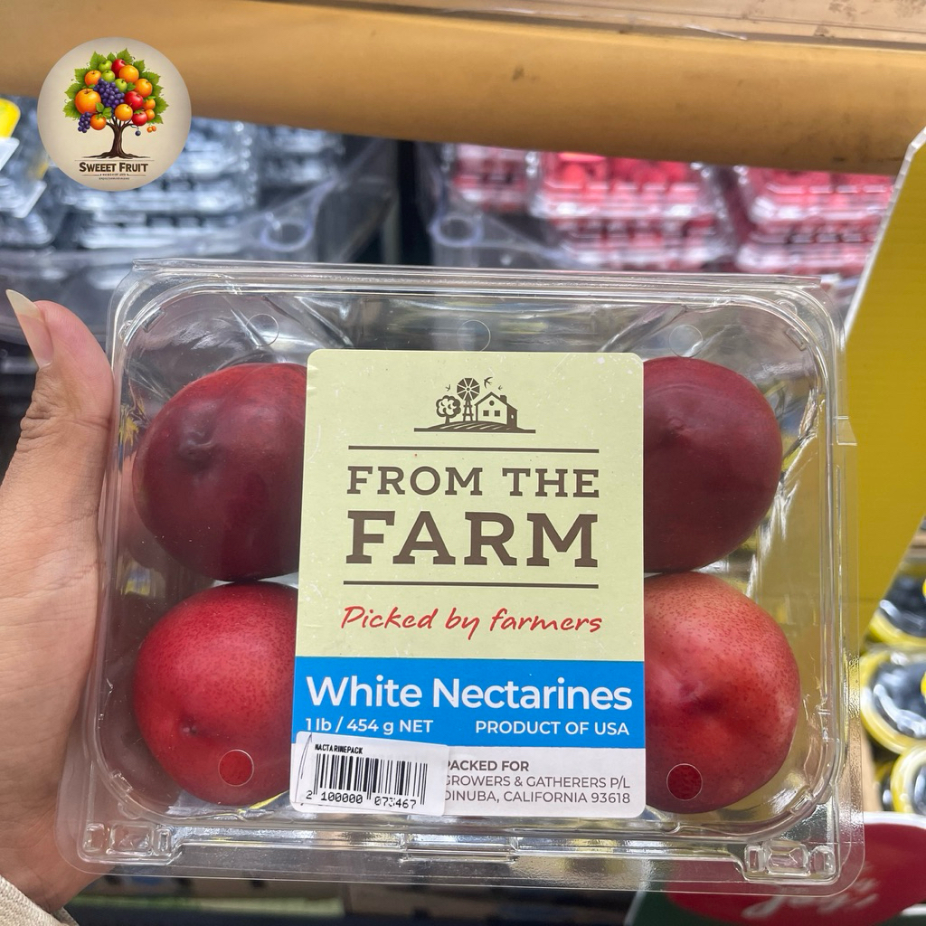 

Nectarines White Australia | Nectarines Import | Pack