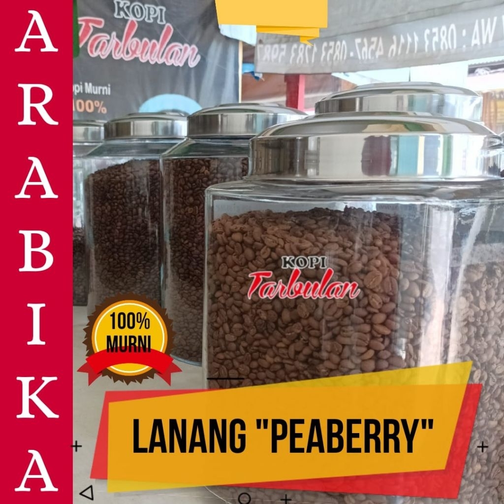 

Kopi Lanang "Peaberry" Kopi Tarbulan