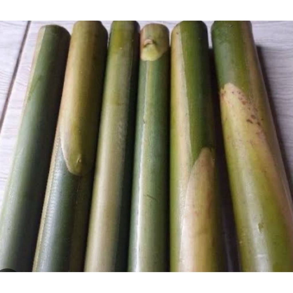 

Batang honje segar batang kecombrang 1 kg-az