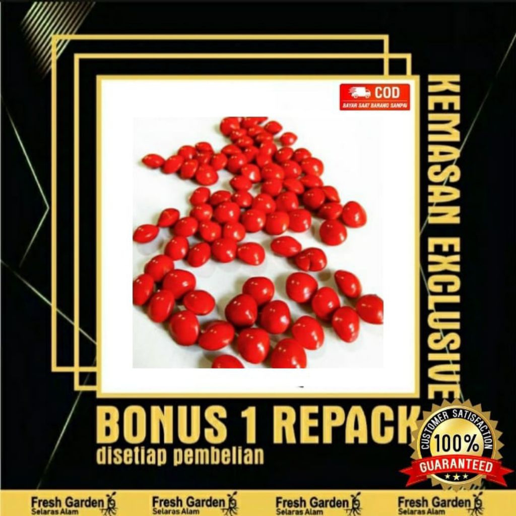 Benih biji saga merah pohon 150 butir untuk obat,kolase , tangan kerajinan dll.