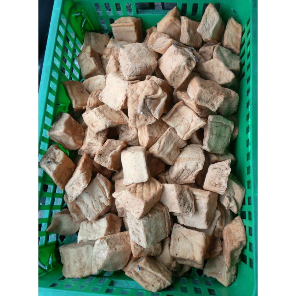 

tahu Jawa kulit coklat