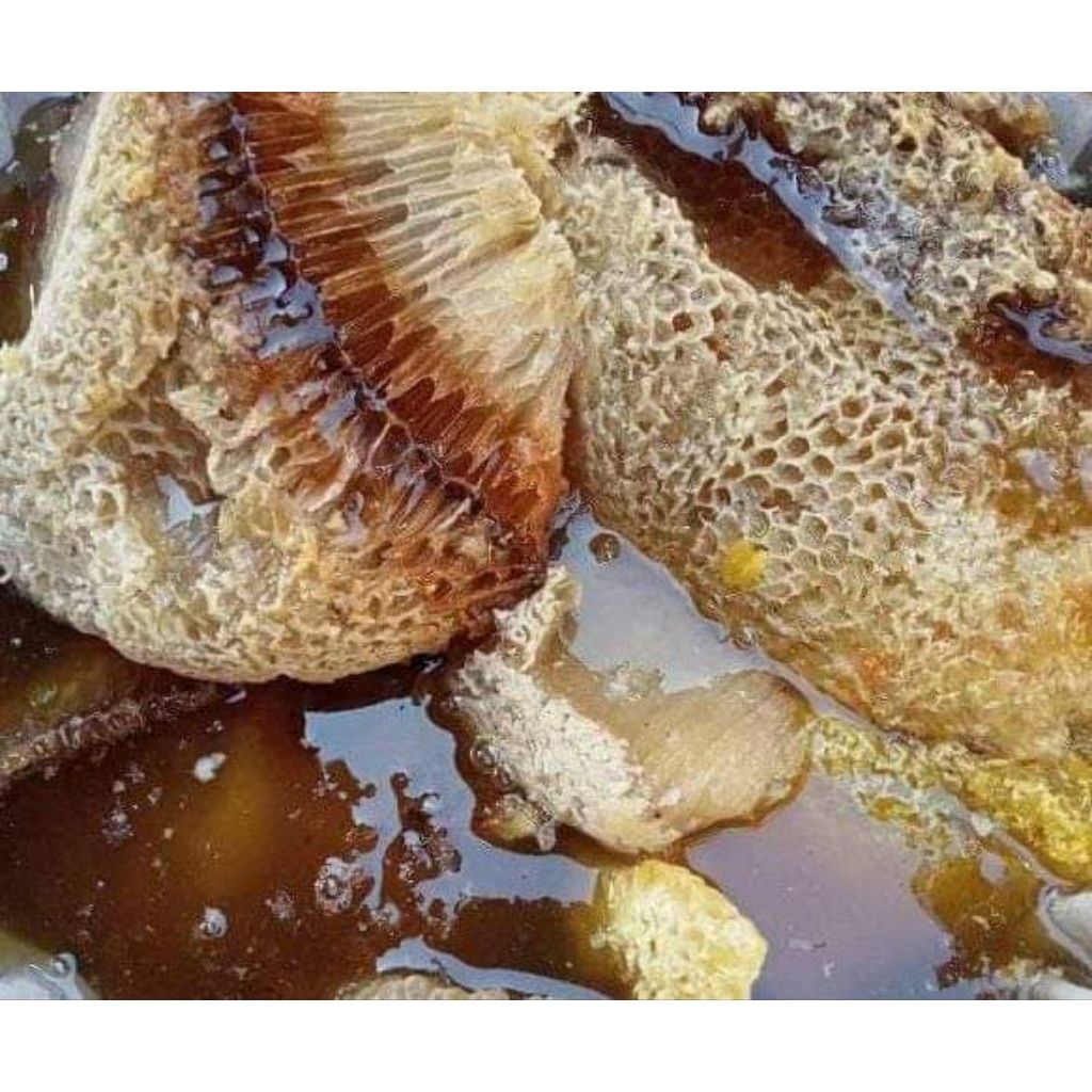 

madu lebah 100% asli kemasan 1 kg dari hutan pedalaman Sumatera,pembelian 3 kg gratis 1 botol 500gram