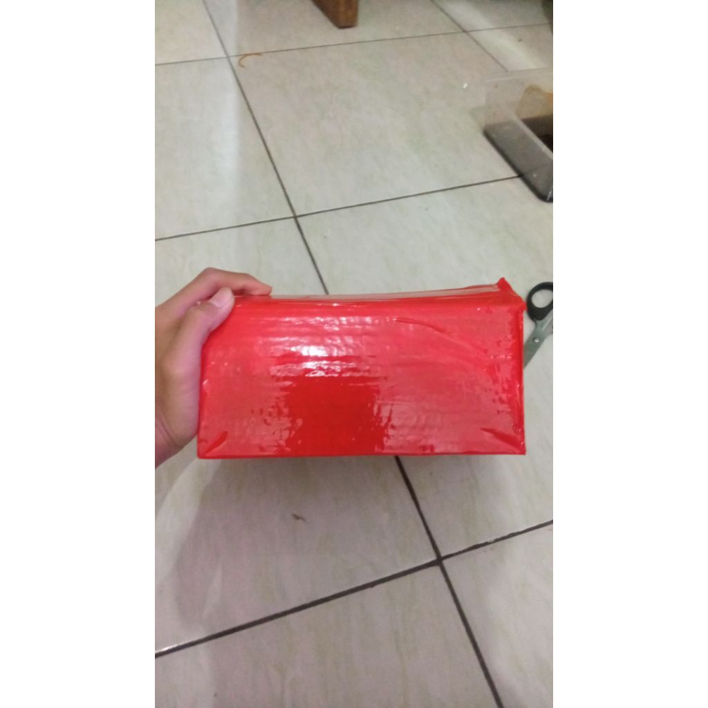 

kardus Peking Channa limbata wc size 3-4-5cm