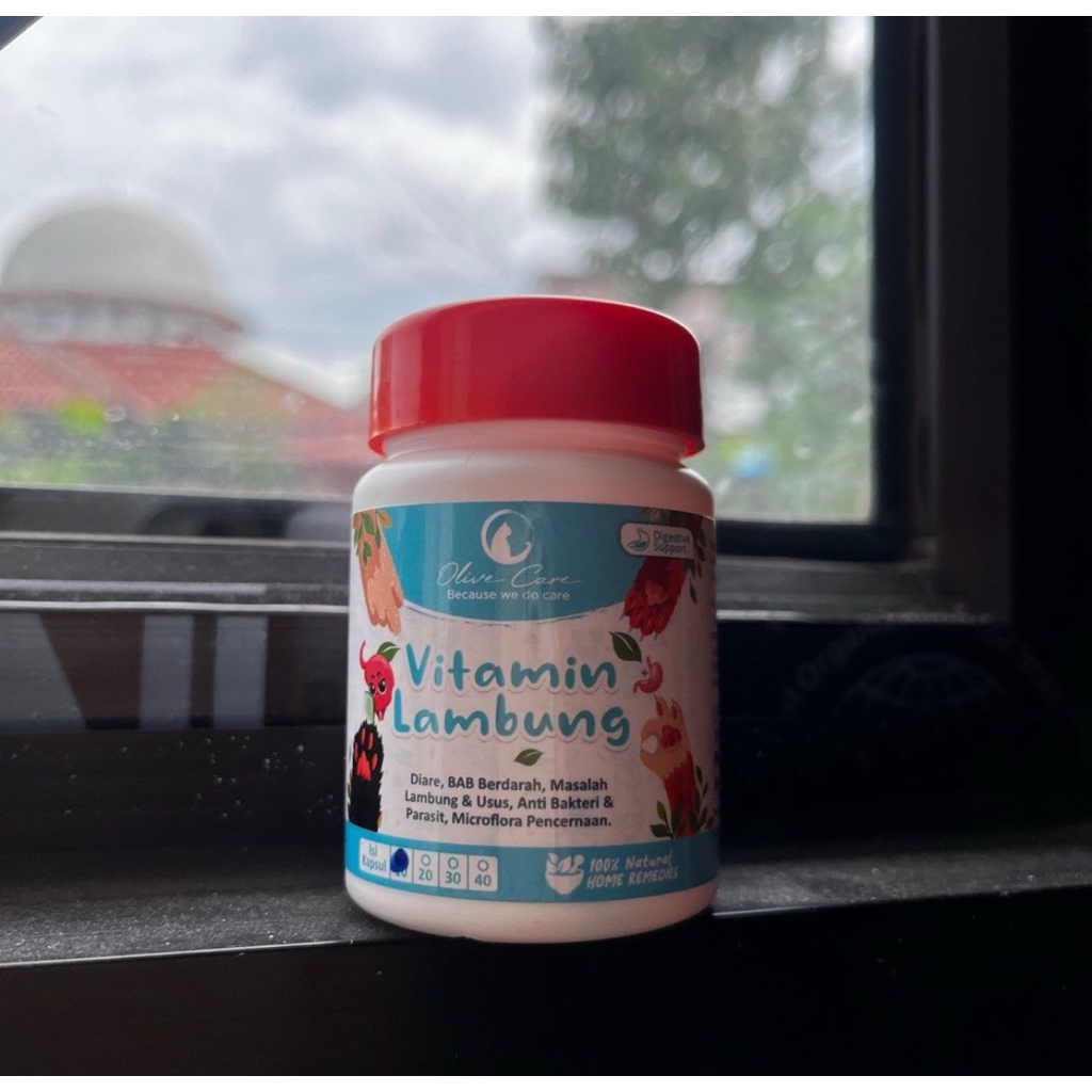 (preloved) vitamin lambung kucing olive care