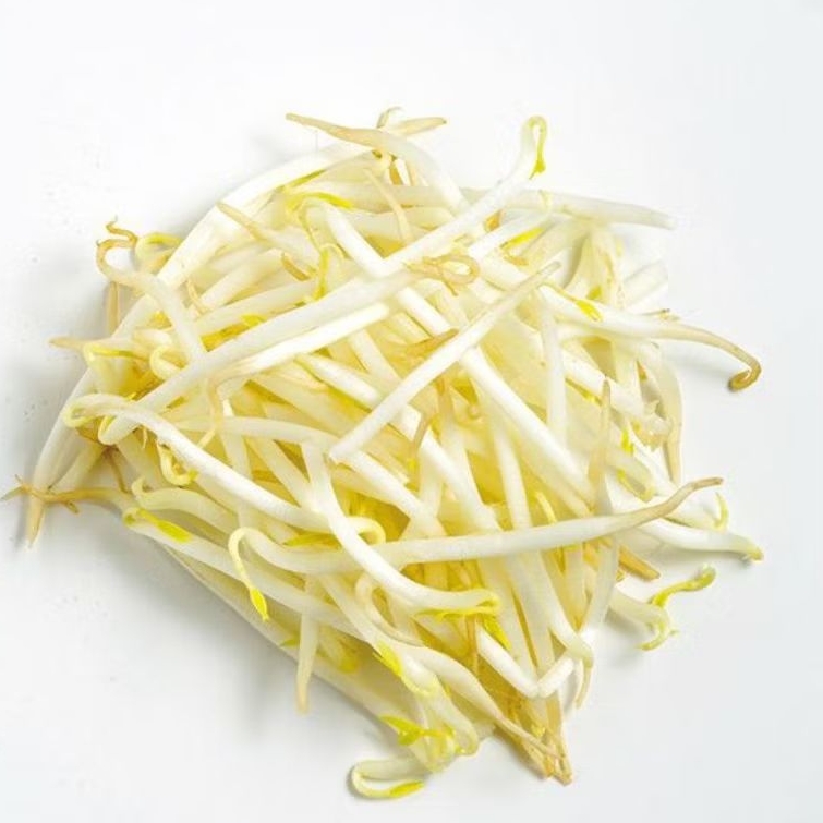 

Tauge Kecil Harga /500 Gram