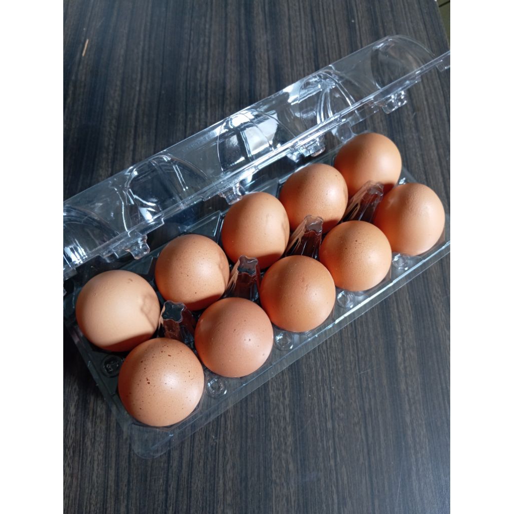 

Telur Omega 3 Fresh - 10 butir