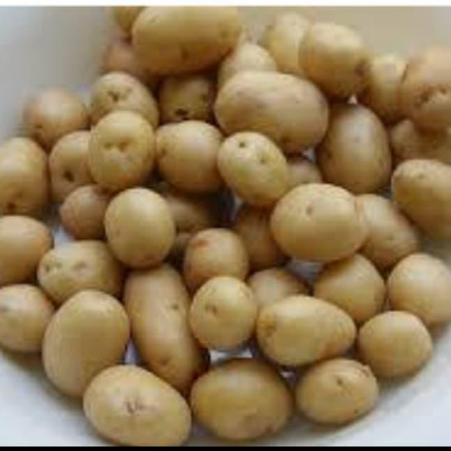 

Kentang Ukuran Kecil / Sedang / Besar 500 Gr