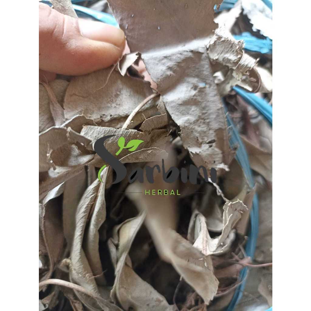 

Kacip Fatimah Kering / Kering Kacip Fatimah Kering / 500 gram / 1000 gram / Simplisia Kering Kacip Fatimah / Kacip Fatimah Kering Garansi Terjamin 100% Asli Murni / Bahan Kacip Fatimah Kering / Bahan Kacip Fatimah Kering Premium / Bahan Kacip Fatimah Asli