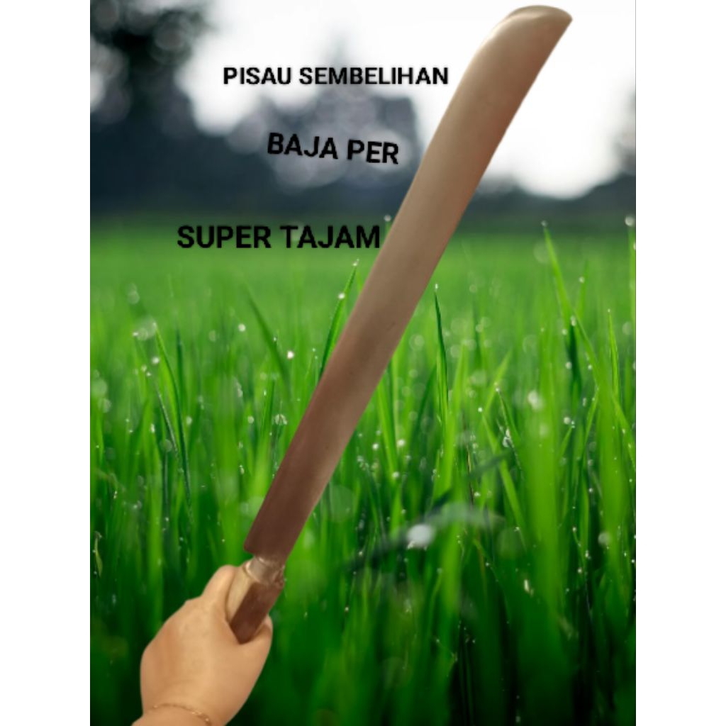 PISAU SEMBELIHAN SUPER TAJAM