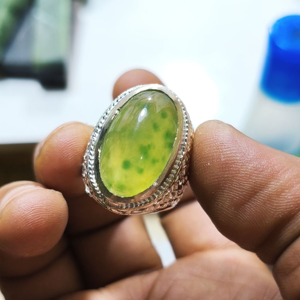 cicin lumut kumbang jati