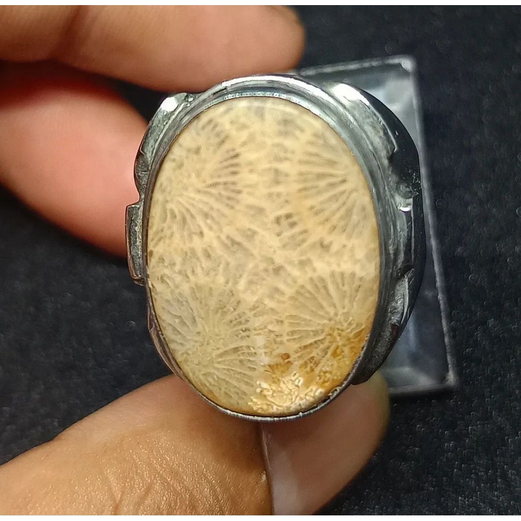 BATU AKIK TAPAK JALAK TRATAI ANTIK (ASLI ALAM)