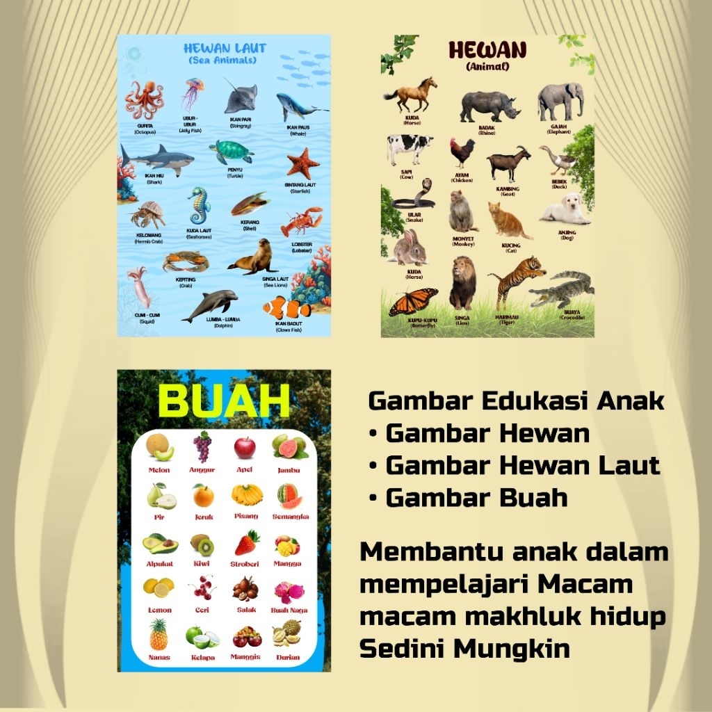 POSTER EDUKASI ANAK, POSTER BERGAMBAR HEWAN DAN BUAH A3