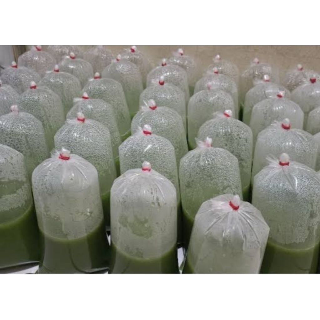 

SUSU KACANG KEDELAI ASLI/SUSU KACANG HIJAU KEMASAN PLASTIK