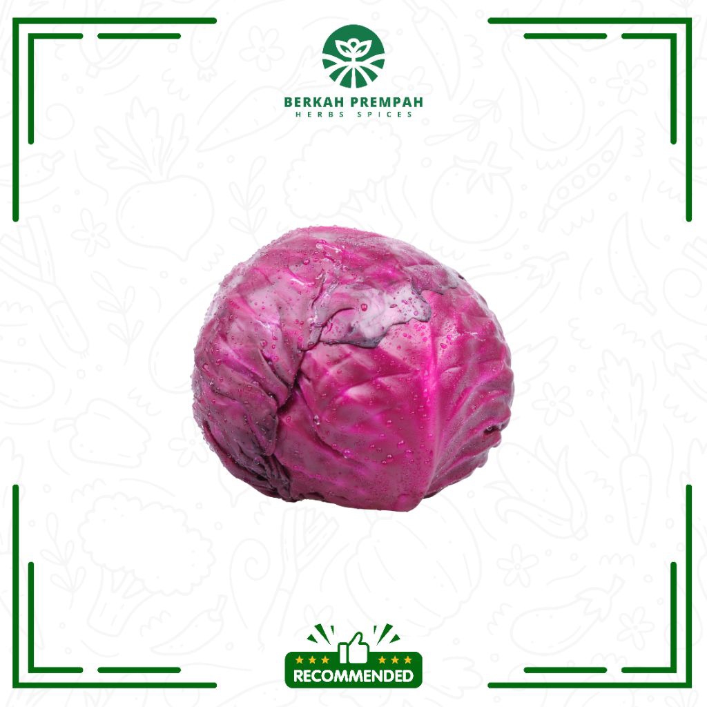 

Kol ungu segar (-+0,5- 0,9kg / pcs) - BerkahPrempah