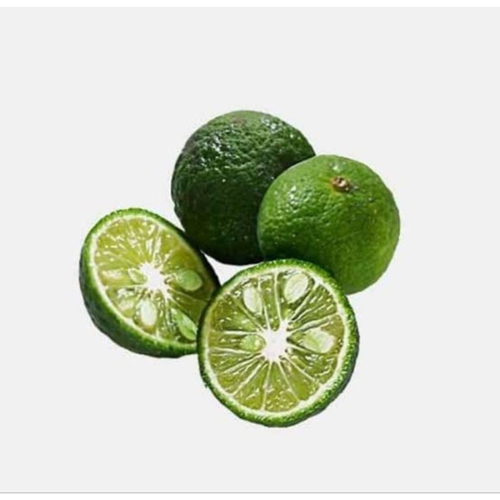 

Jeruk Limau Fresh Segar