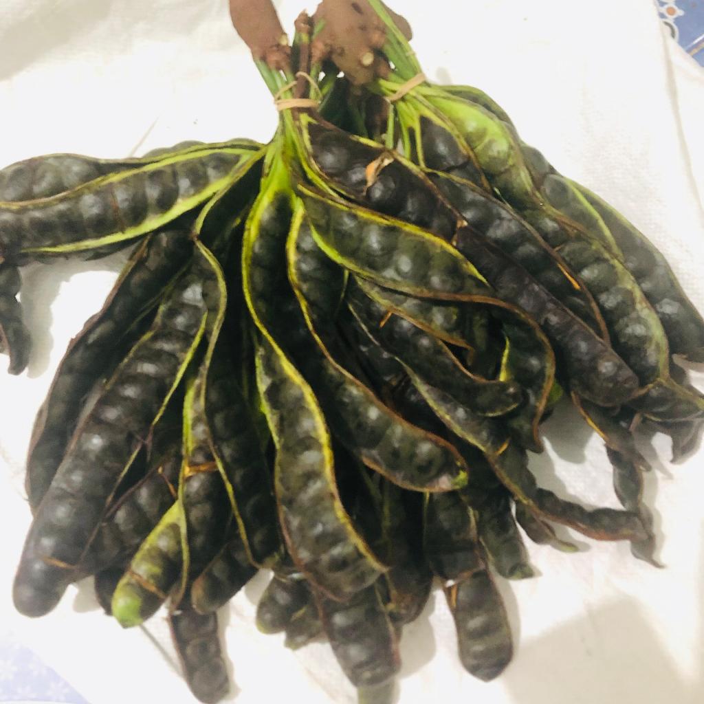 

Petai Pete MATANG POHON 1 Ikat [ 10 Papan ] - Pete Super Matang