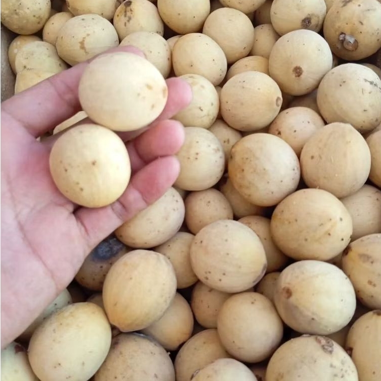 

DUKU MANIS KOMERING 1kg