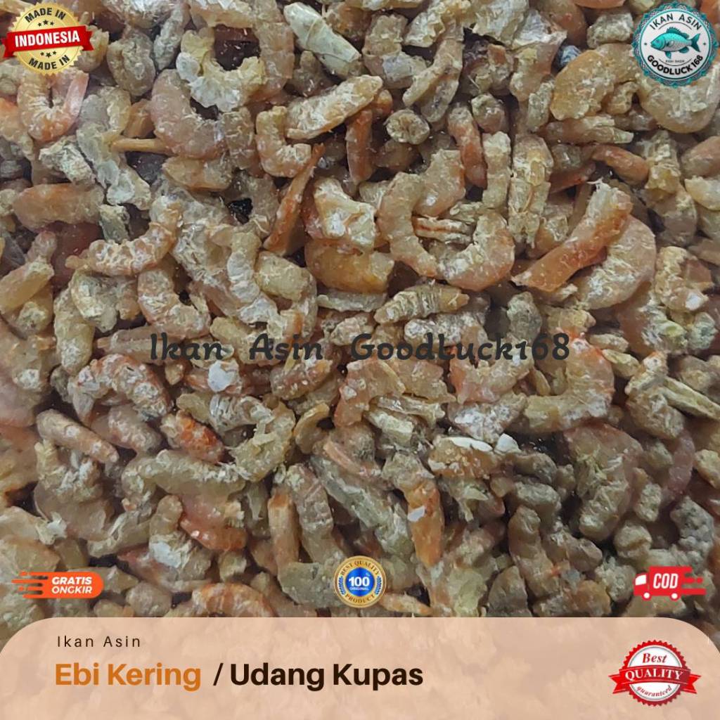 

Ebi Kering / Daging Udang Kering Size Kasar Asli Bagansiapiapi Kualitas Export 500gram, 1kg