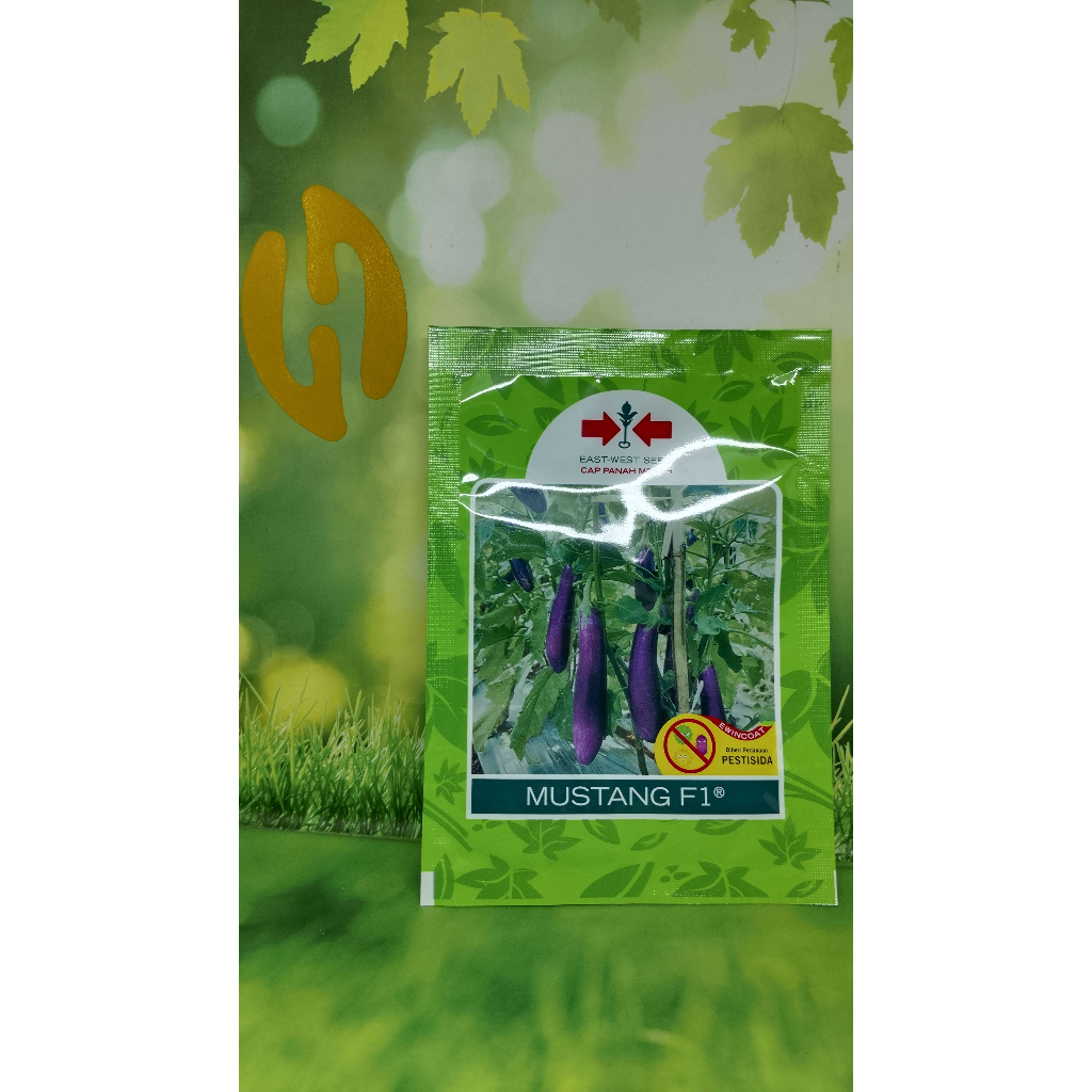 

BENIH TERONG UNGU MUSTANG F1 ISI 1.100 BUTIR / Bibit Terong Mustang F1