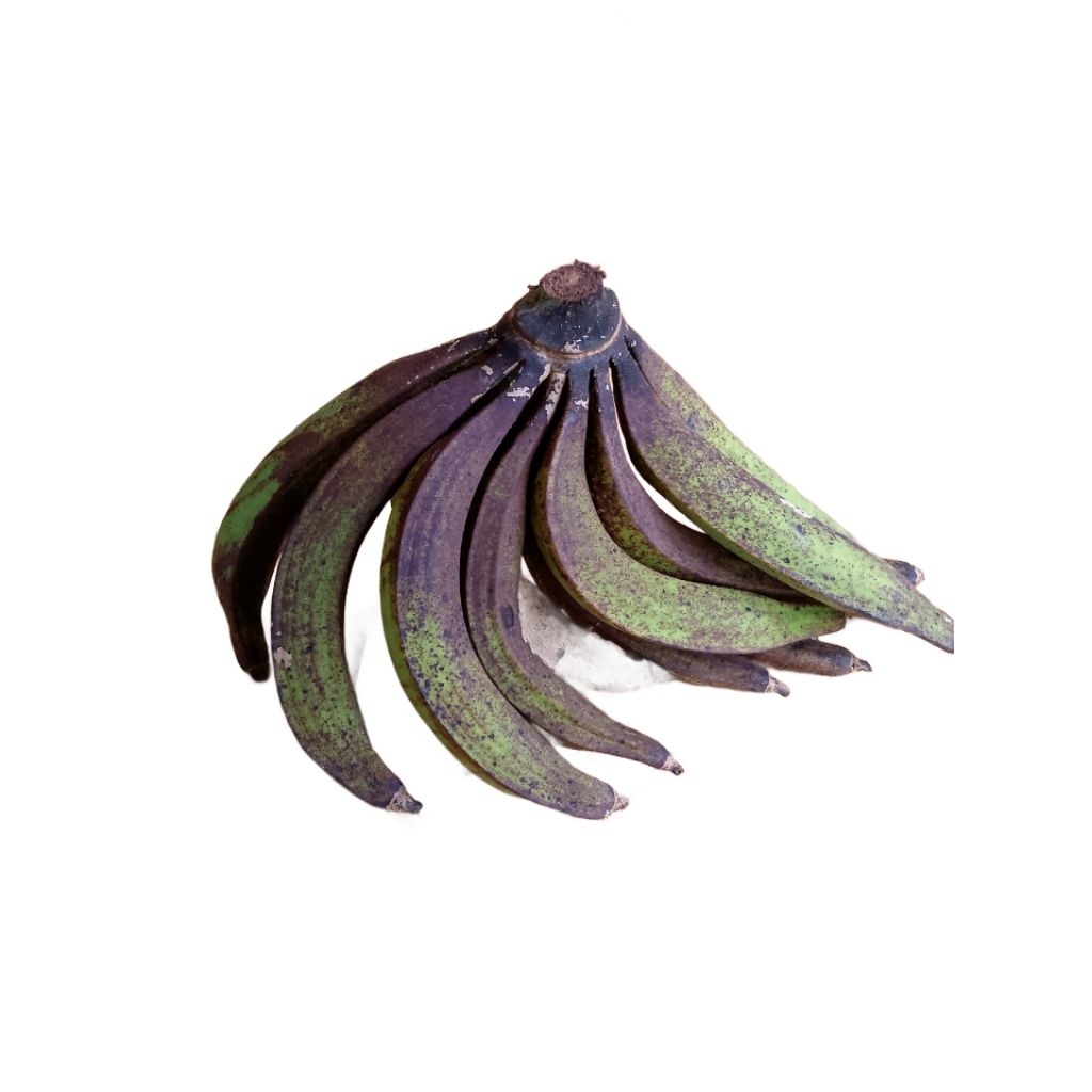 

Pisang Tanduk Kecil Fresh Asli Sukabumi 1 Kg