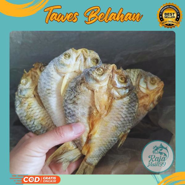 

IKAN ASIN TAWES BELAHAN