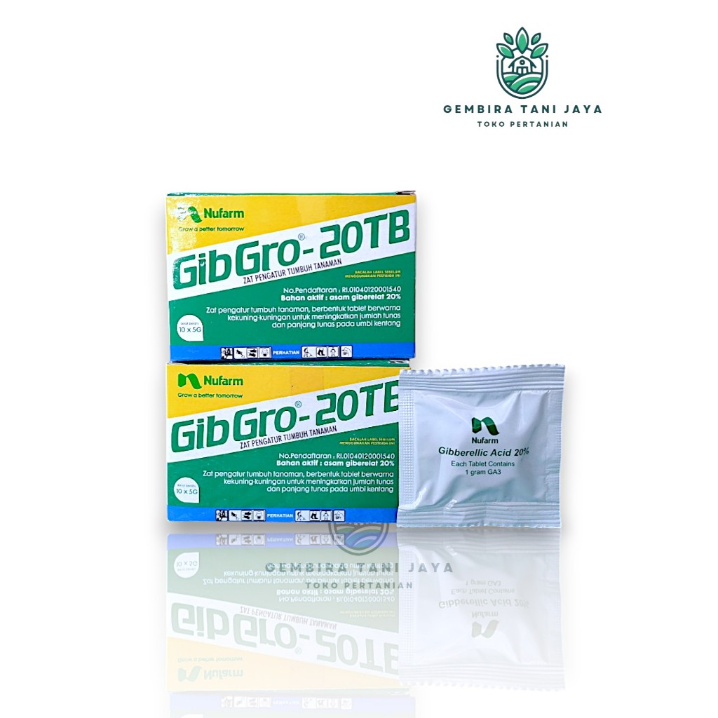 GIBGRO 20TB