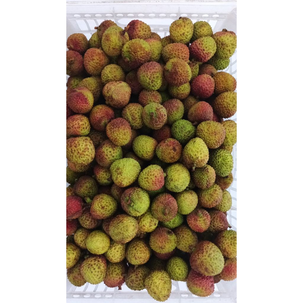 

BUAH LECI/KG
