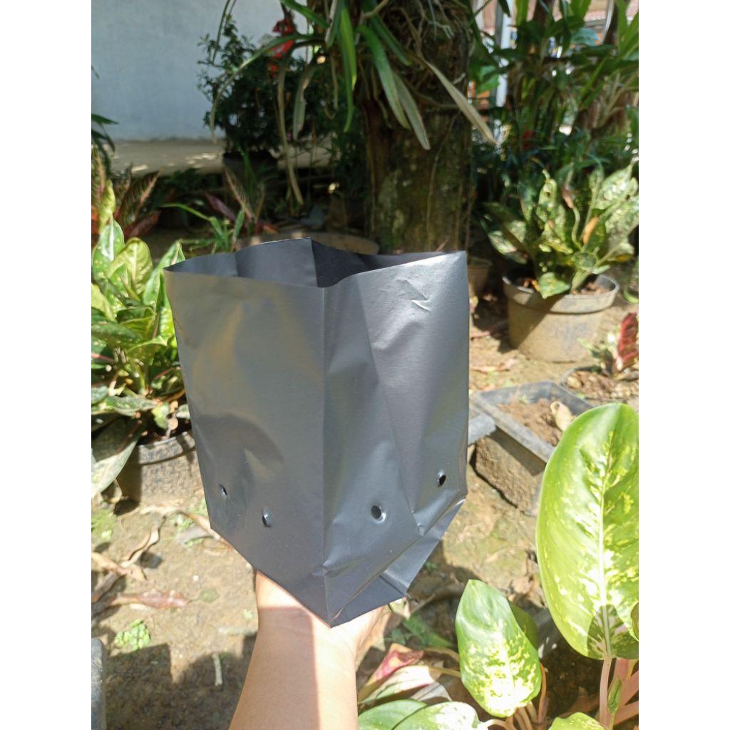Raflezia 50Pcs Polibag Plastik Ukuran 35X35 Polibag Tanaman