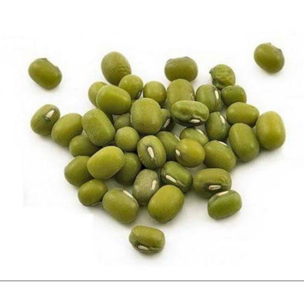

Kacang Hijau Fresh Segar