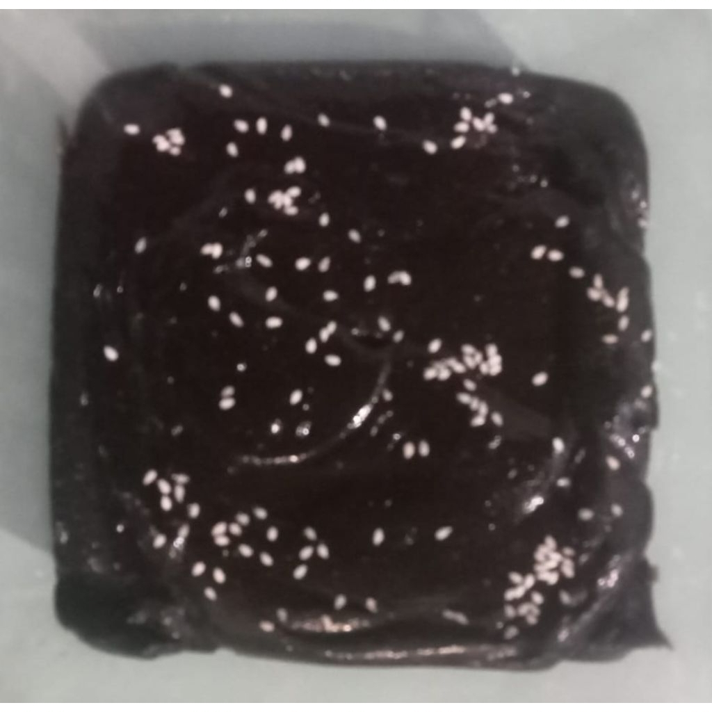 

KUE DODOL
