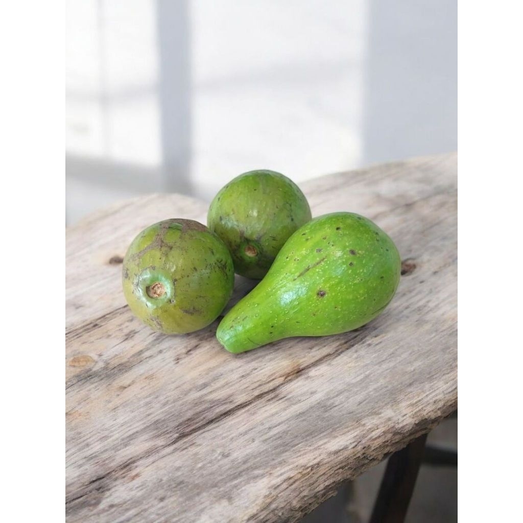 

Alpukat Mentega isi 3-5/kg (1kg)