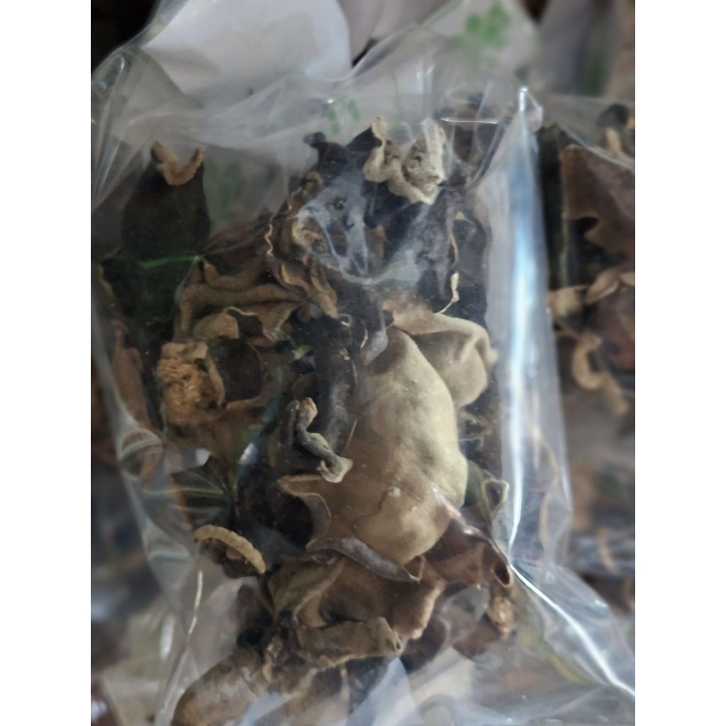 

JAMUR KUPING KERING