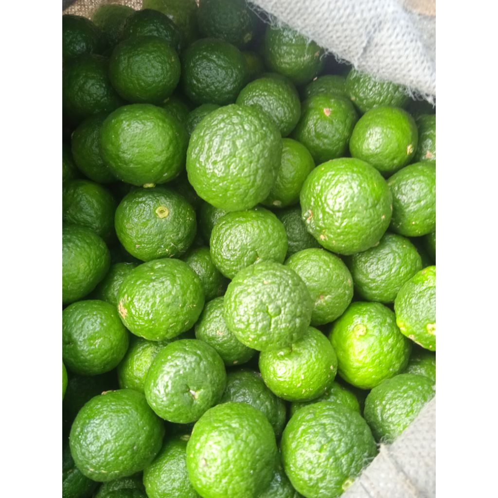 

jeruk limau bakso aci1kg