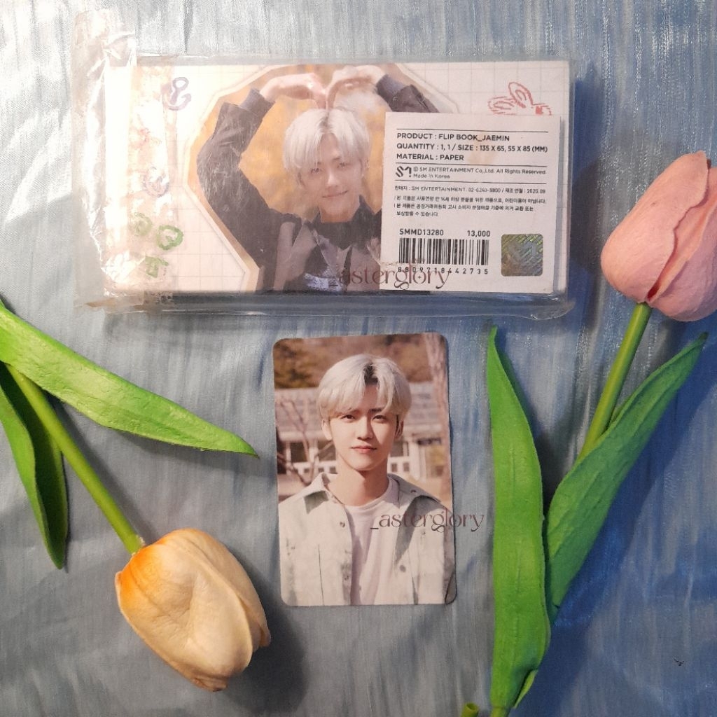 Na Jaemin pc photocard official nct dream life flipbook official good condi