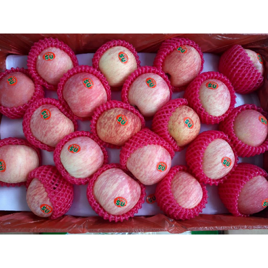 

Buah Apel Fuji Premium Honestman (335gr)