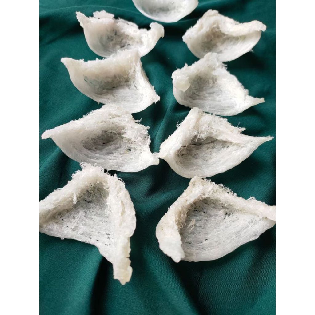 

Sarang Burung Walet Birdnest Sudut