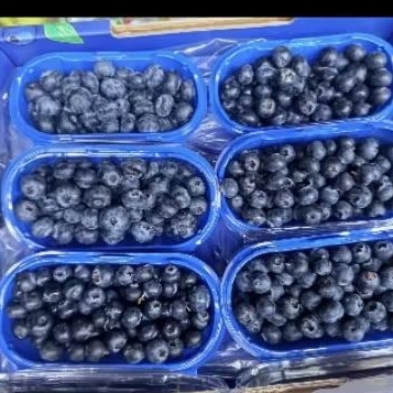 

Buah blueberry jumbo import manis juicy 200 gram