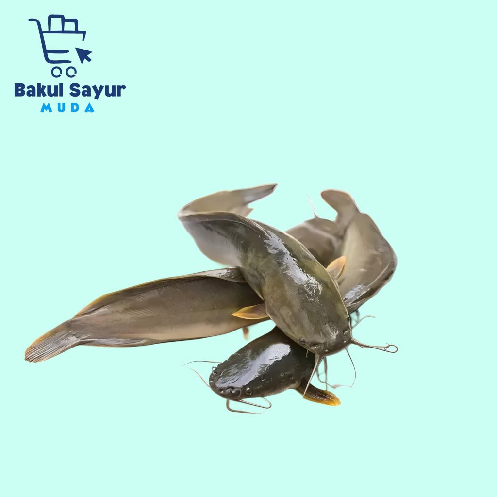 

Lele Segar 500 Gram