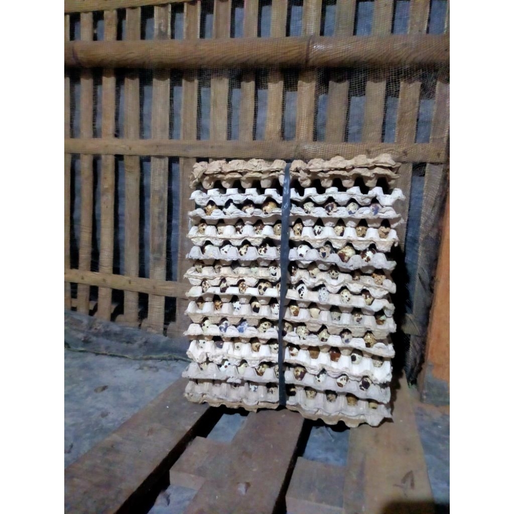 

Telur Puyuh 500Gram