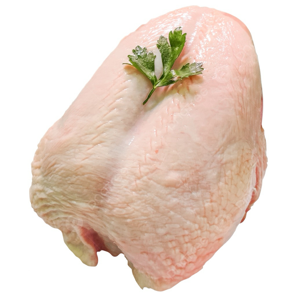 

daging ayam segar temanggung