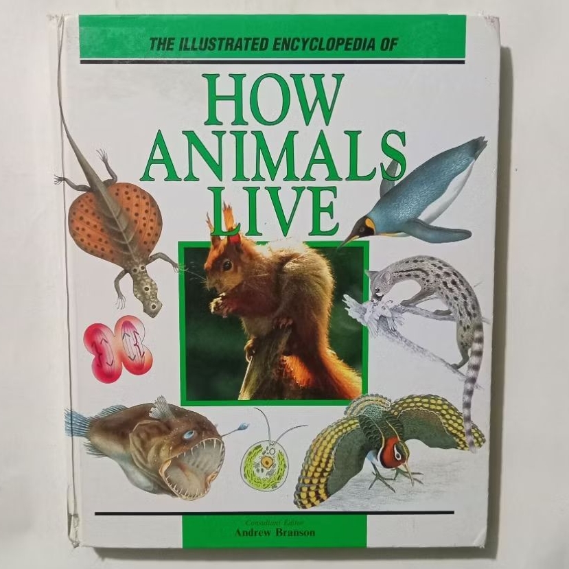 Buku Anak Impor The Illustrated Encyclopedia Of HOW ANIMALS LIVE - Andromeda Oxford