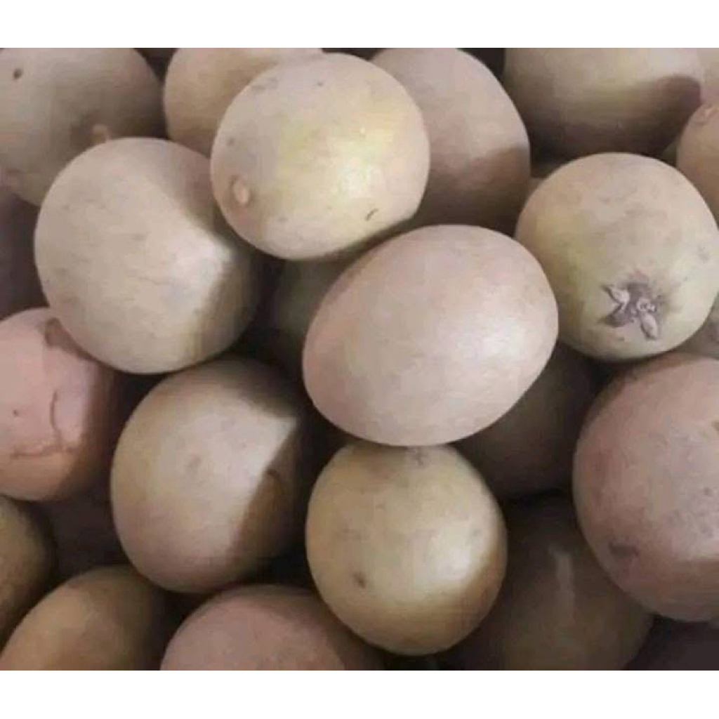 

sawo madu/manila sawo termanis (500 gram)