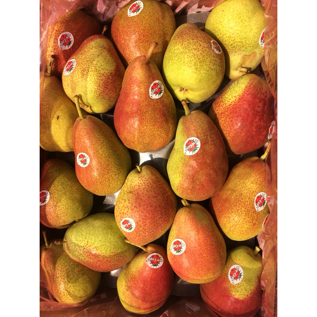 

Pear forelle africa