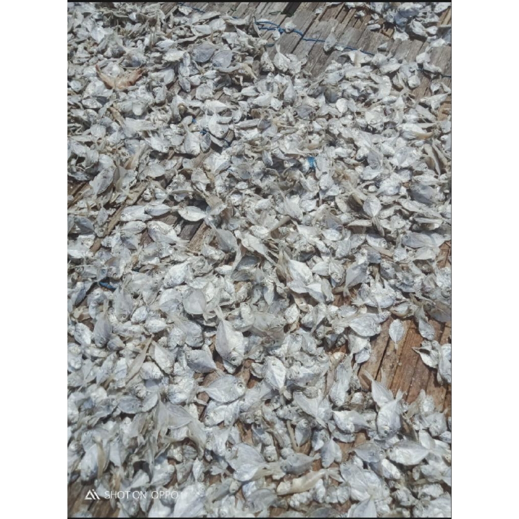 

ikan asin petek kecil 1kg