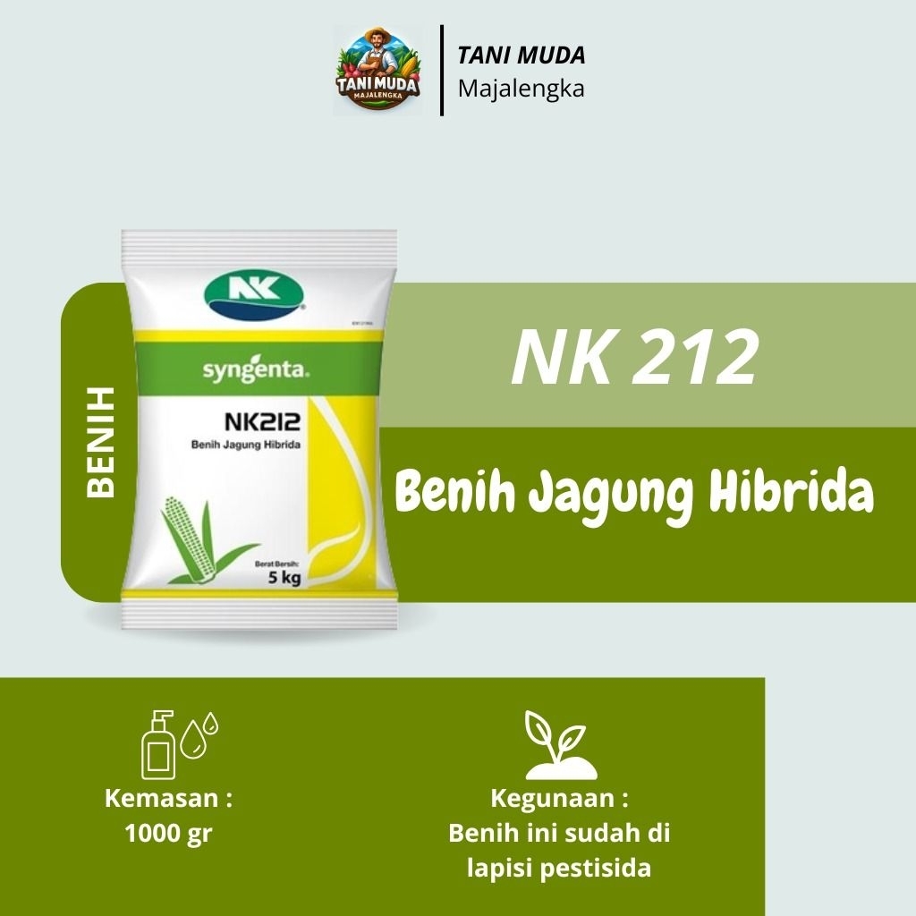 Benih Jagung Hibrida NK212