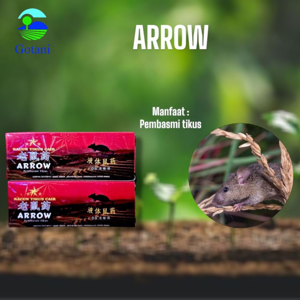 ARROW RACUN TIKUS CAIR