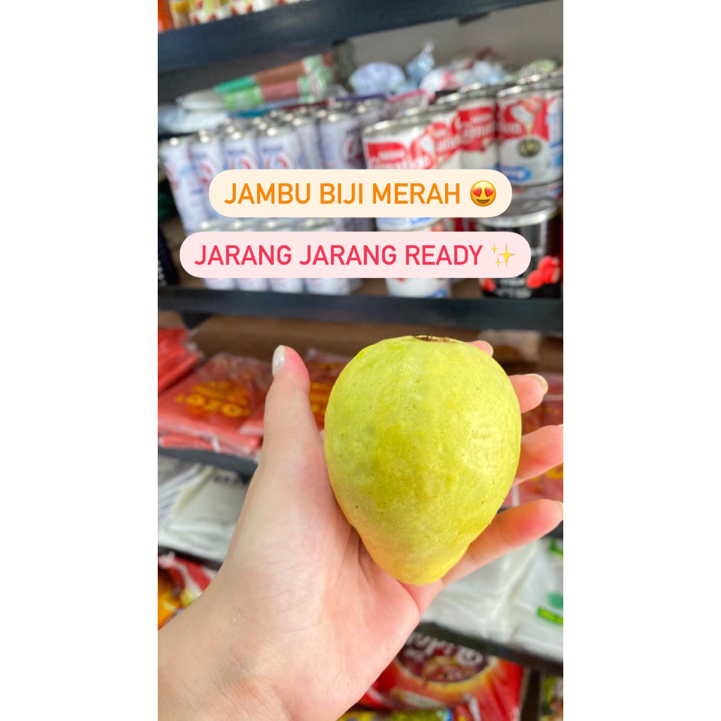 

jambu biji merah 1 kg