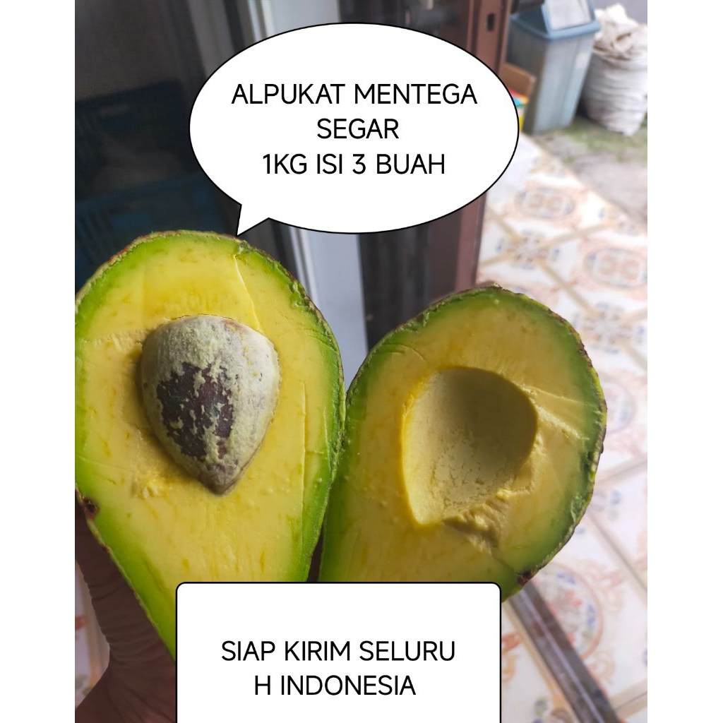 

ALPUKAT MENTEGA UKURAN BESAR 1KG 3 BUAH