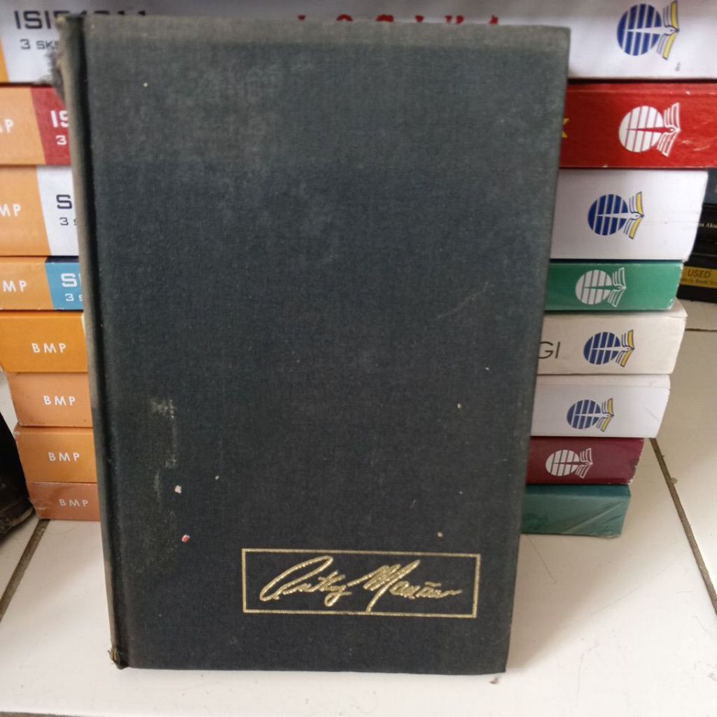 Buku Minnie santangelos mortal sin